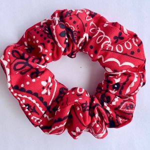 Hair Scrunchie